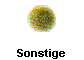  Sonstige 